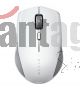 Mouse Inalambrico Razer Pro Click Mini Porta