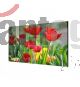 Pantalla Hikvision LCD DS-D2055UL-1B 55