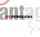 Furukawa - Fiber Optic Lc Upc